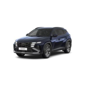 Hyundai Santa Fe o Similar